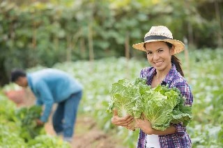 imagem Básico em Agricultura Familiar