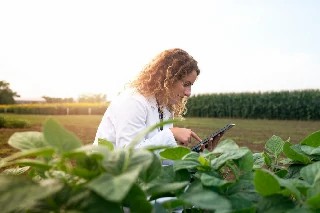 Básico em Assistência Técnica e Extensão Rural